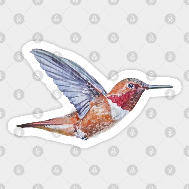 Rufous Hummingbird painting - no background Sticker by EmilyBickell